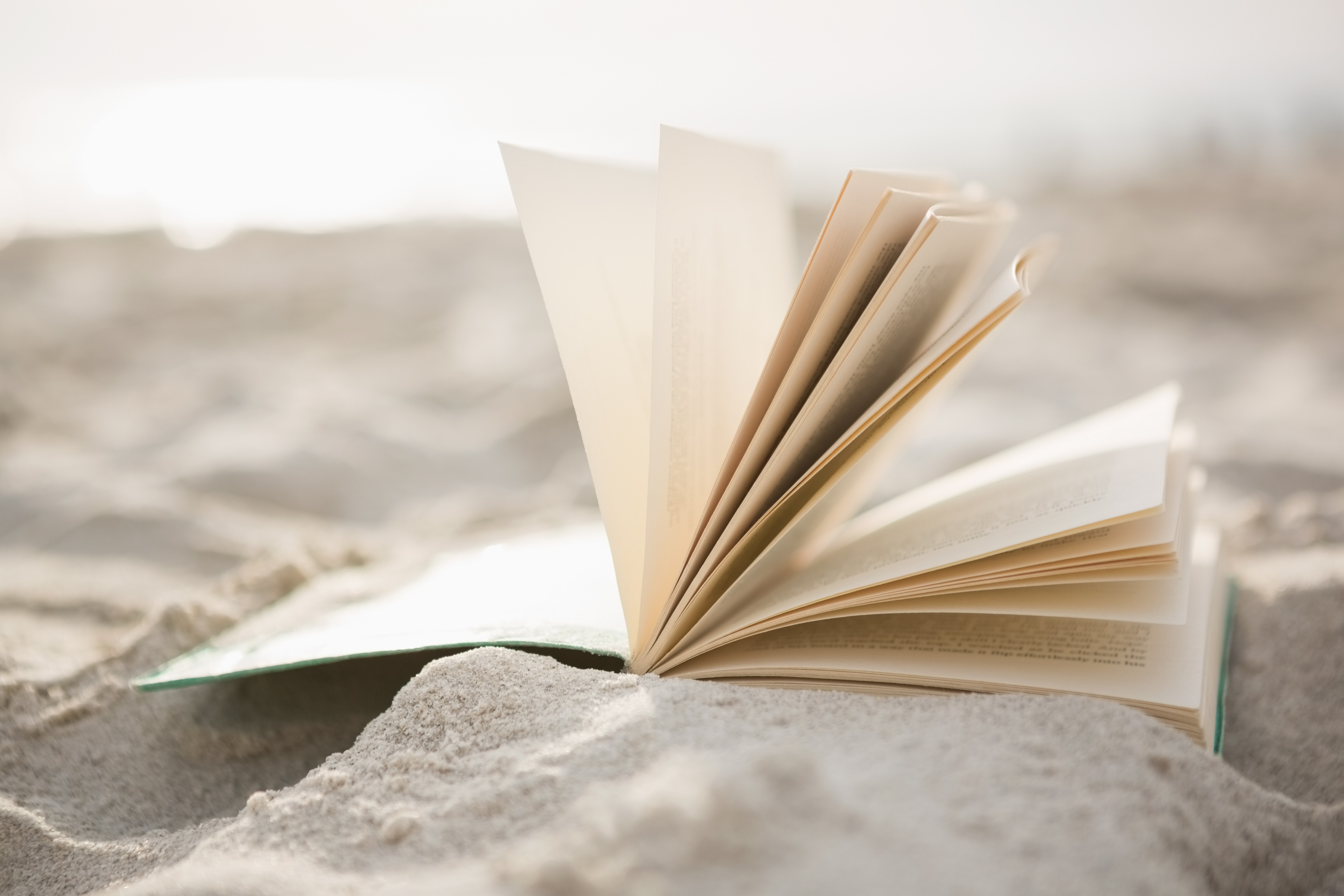 Leituras de julho: confira 4 livros récem-lançados para colocar na prateleira